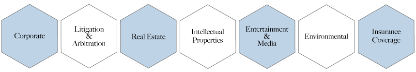 focus areas: corporate, litigation & arbitration, real estate, intellectual properties, among others.
