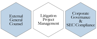 on-demand general counsel, external general counsel, litigation project management, corporate governance and SEC compliance